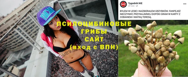 кокс Арсеньев