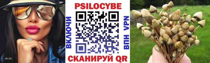 Псилоцибиновые грибы мухоморы  где купить наркоту  Радужный 